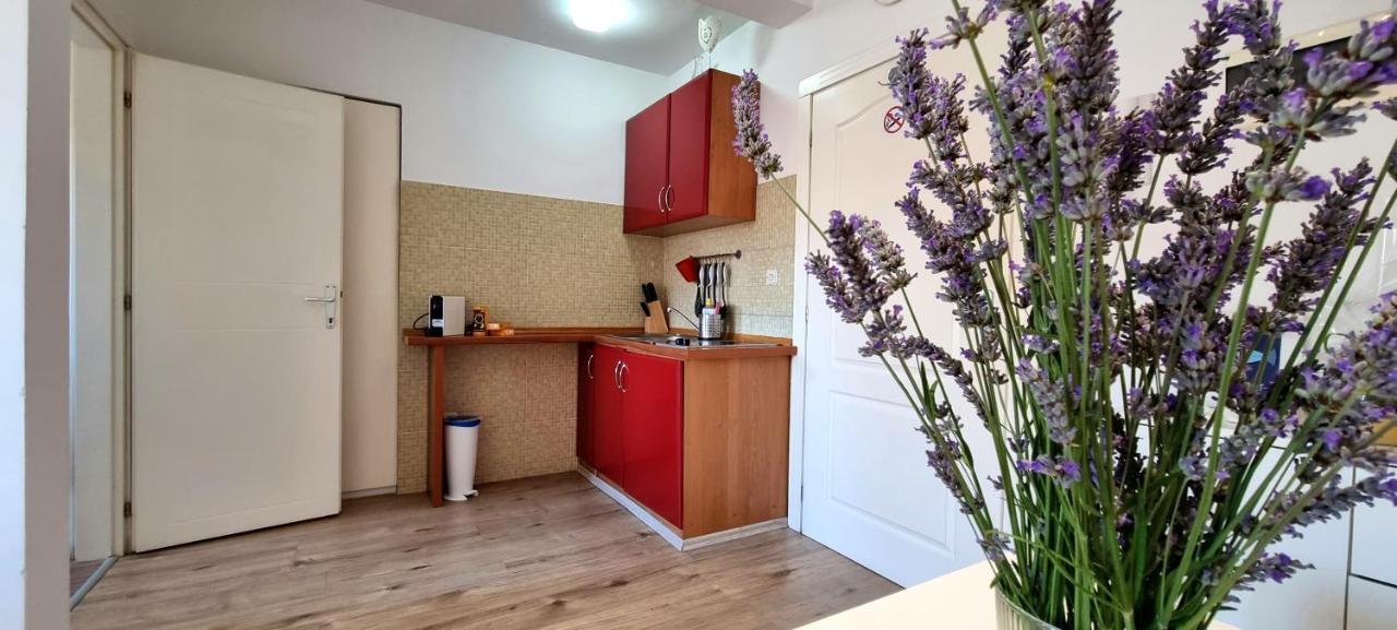 Tiny Studio Big Living Apartment Rovinj Exterior photo