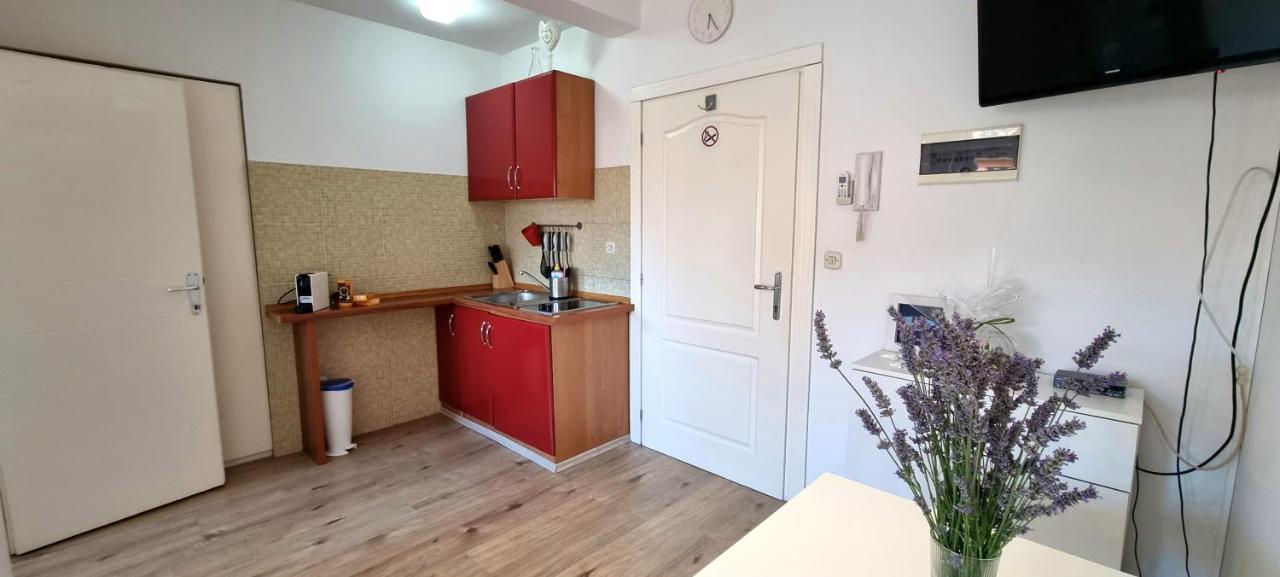 Tiny Studio Big Living Apartment Rovinj Exterior photo