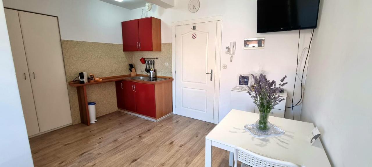 Tiny Studio Big Living Rovinj Exterior photo