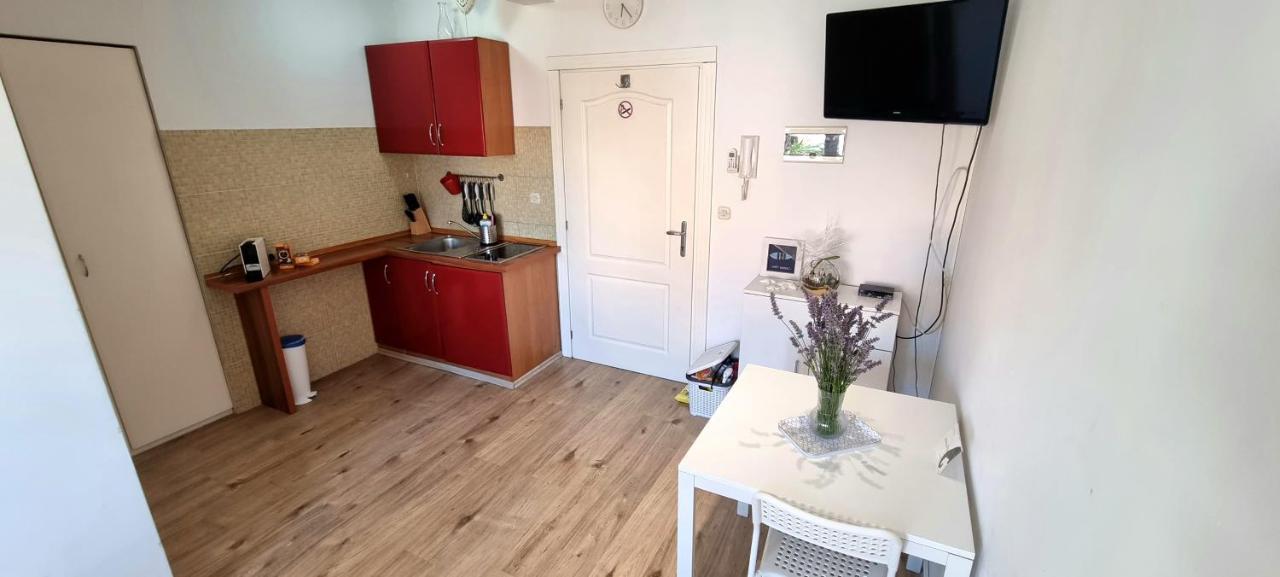 Tiny Studio Big Living Apartment Rovinj Exterior photo